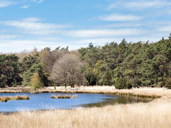3 Tage Natur pur & Entspannung im Herzen von Drenthe in Dwingeloo,  inkl. Halbpension