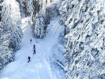 5 Tage am Titisee im Schwarzwald