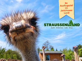 Straussenland Nedlitz bei Magdeburg mit Safariführung und Hotel
