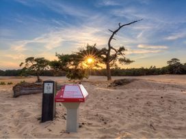 Niederlande: 3 Tage-Angebot Hansestadt Harderwijk auf der Veluwe