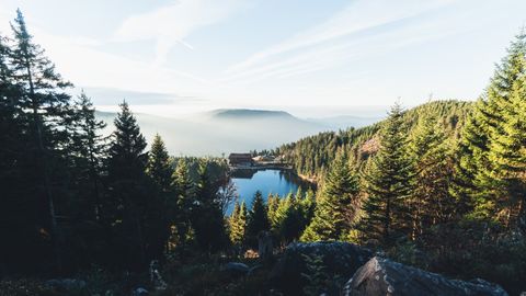 Schwarzwald und Bodensee