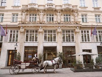 Städtereise Wien im Steigenberger Hotel Herrenhof