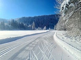 8 Tage aktive Erholung in Füssen mit Frühstück