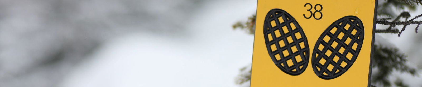 Ein Schild zeigt den richtigen Weg zum Schneeschuhwandern an.