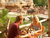 3 Tage Kurzurlaub mit Frühstück im Zeitlos Hotel Restaurant Am Fuchsbach