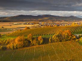 3 Tage Kurzurlaub mit Spargelgenuss am Kaiserstuhl