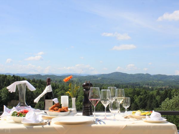 3 Tage Seele baumeln lassen im Hotel Garni am Seggauberg in Leibnitz, Steiermark inkl. Frühstück