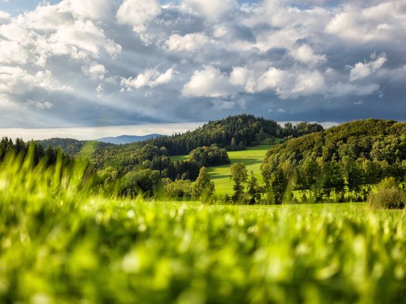 7 Tage Urlaubszeit All Inclusive im Bayerischen Wald