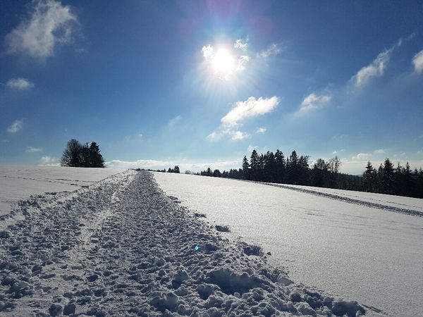 4 Tage Winterzauber: Wellness und Entspannung im Schwarzwald in Höchenschwand, Baden-Württemberg inkl. Halbpension