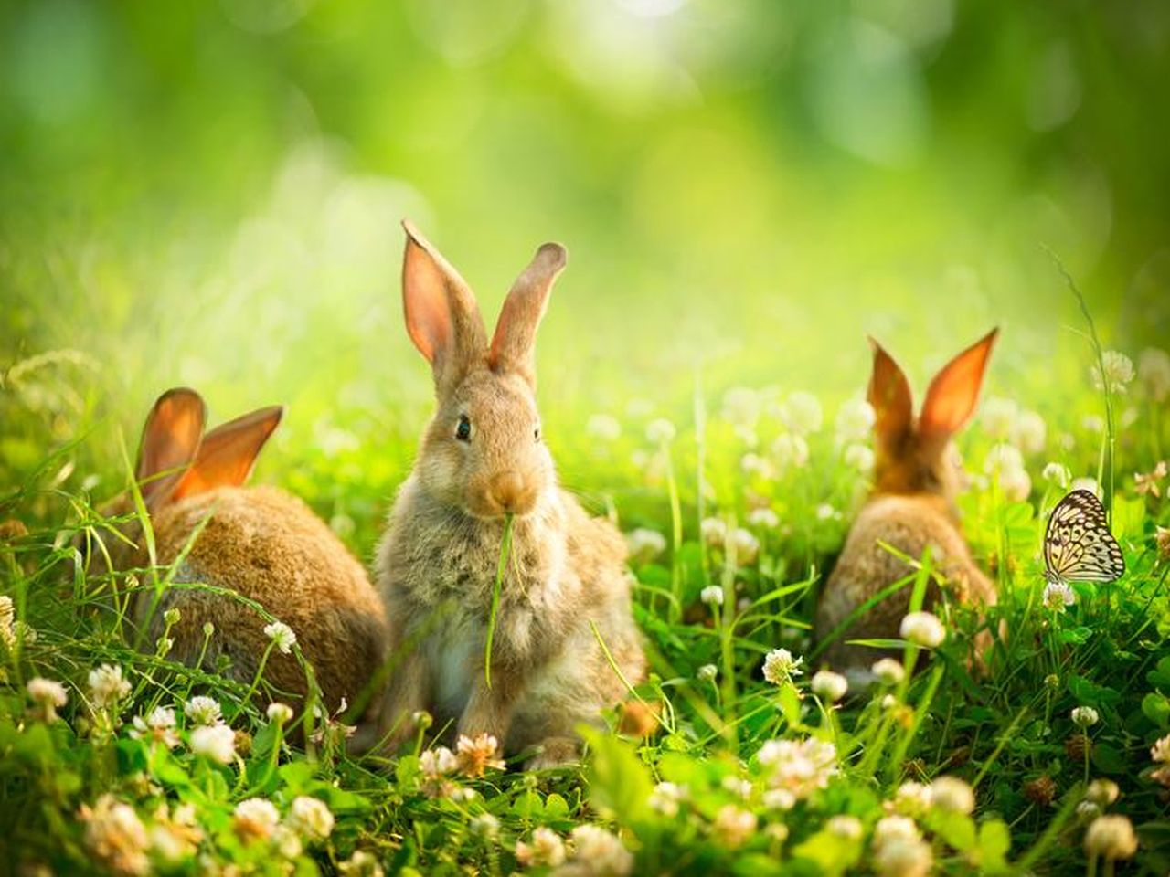 Osterwochenende im Bergischen