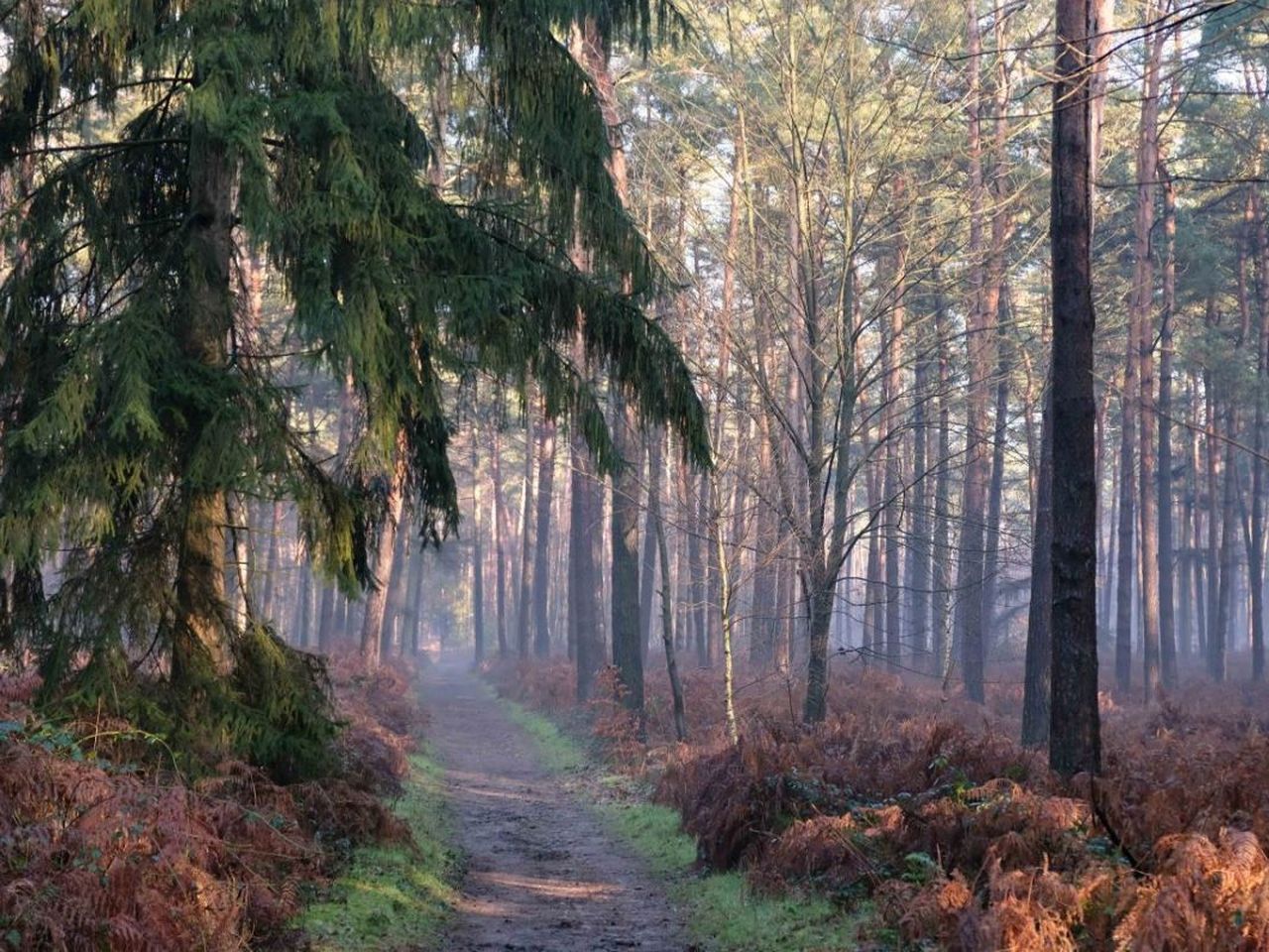 Radsterntouren am Niederrhein