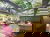 6 Tage super Familien-Wellness-Zeit mit Kinderclub