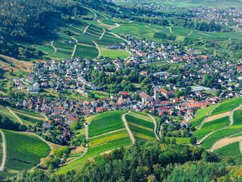 Weinschmecker im Baden-Badener Rebland - 3 Tage