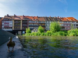 Erfurt kompakt