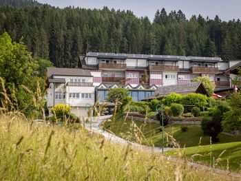 Wanderurlaub inkl. HP+ im Almenland