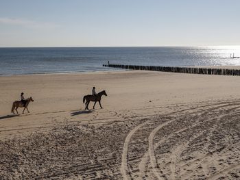 Küstenzauber an der niederländischen Nordsee - 6 Tage