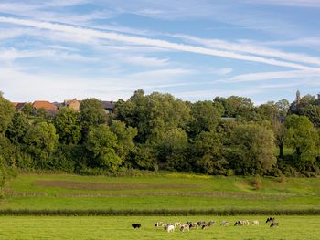 4 Tage nahe des Dreiländerecks im schönen Süd-Limburg