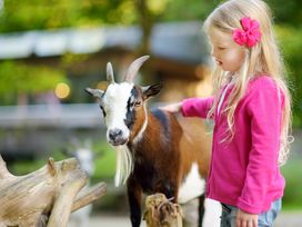 2 Tage Aktivität und Entspannung im schönen Arnheim