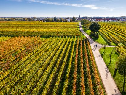 Entspannung & Genuss in der Pfalz (3 Tage)