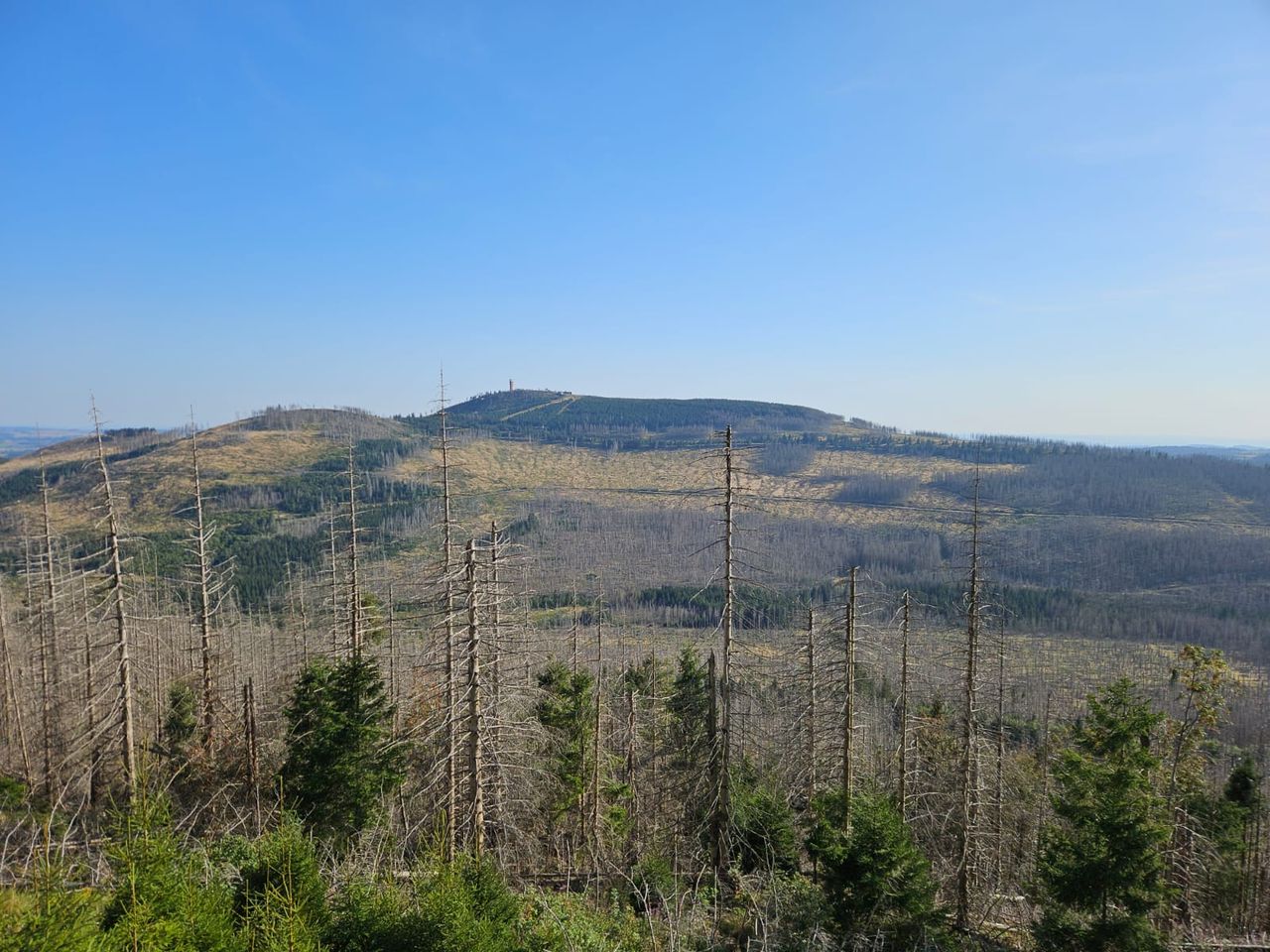 4 Tage Kurzurlaub im Harz