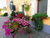 4 Wellnesstage inkl. All Inklusive und Aromaölmassage