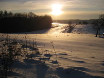 Bild 37 von 40