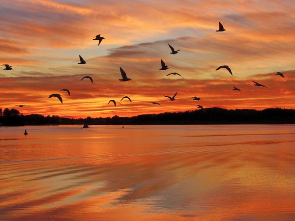 Special Mecklenburgische Seenplatte & Neustrelitz Halbpension