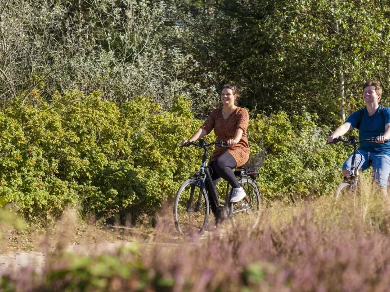 Reif für Amrum - 5 Tage auf der Dünen-Insel