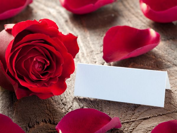 Spreewald für Verliebte – buchbar ab 2 Personen in Peitz Halbpension