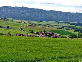 Schnäppchenjäger im Juli