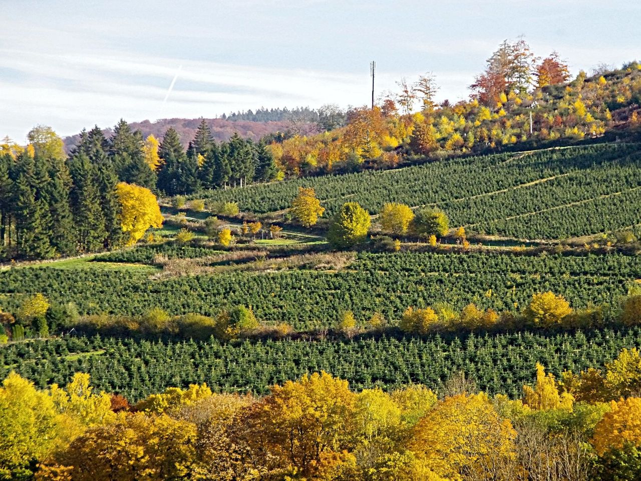 Schönes Wochenende im Hochsauerland mit HP