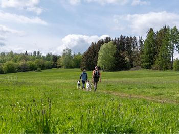 Wandern & Erholung im Harz: Mythen & Legenden, 5 Tage