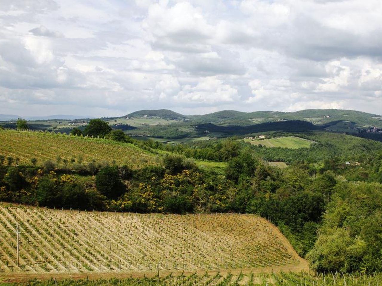 Malerische Toskana - Frühstück & Weinprobe - 7 Tage