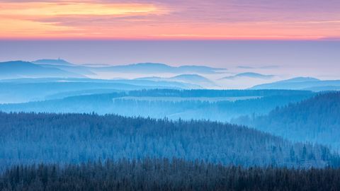 Sonnenaufgang im Nationalpark Harz