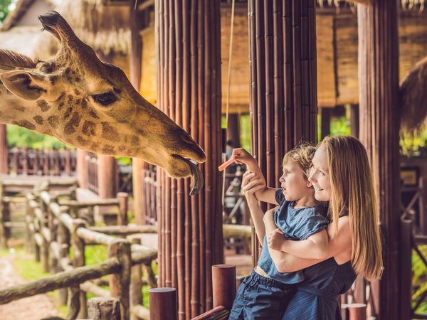 Wildes Wels – Ein Besuch im Welser Tiergarten |6 Tage, Oberösterreich inkl. Frühstück