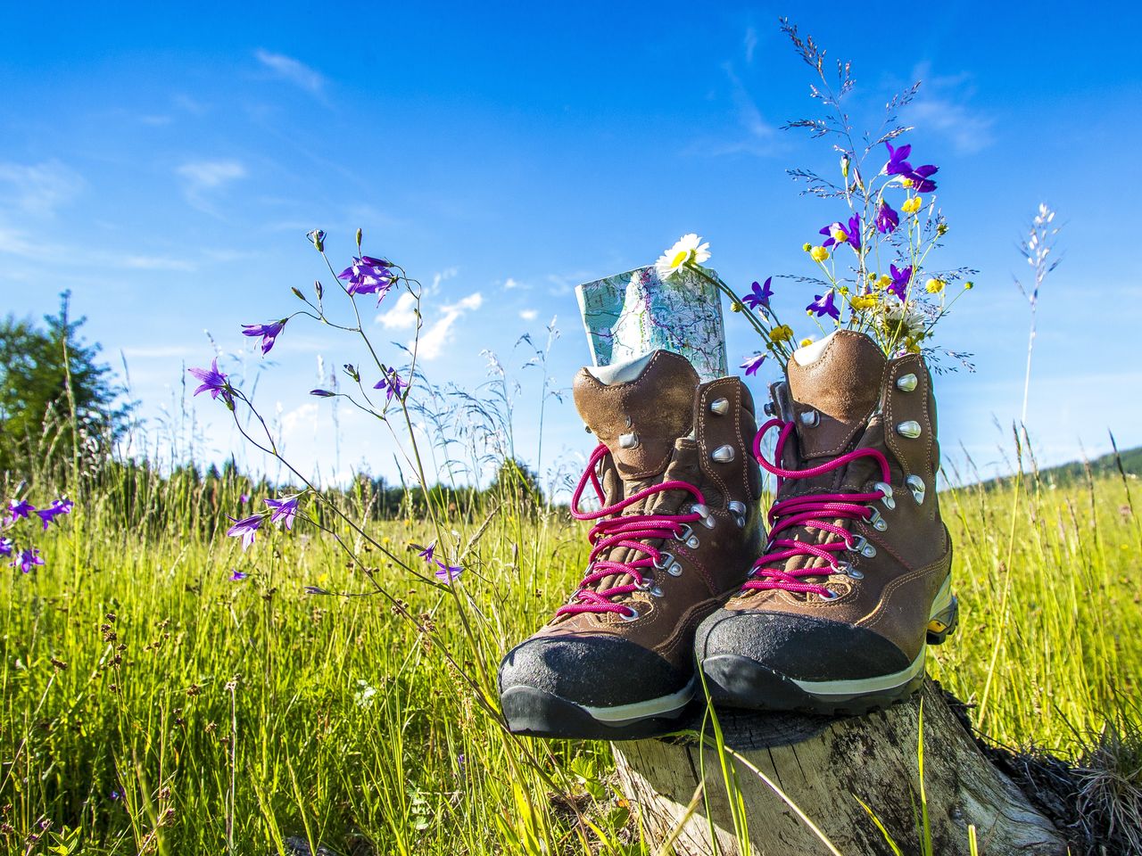 3 Nächte Bergfrühling und Wellness im Hochschwarzwald