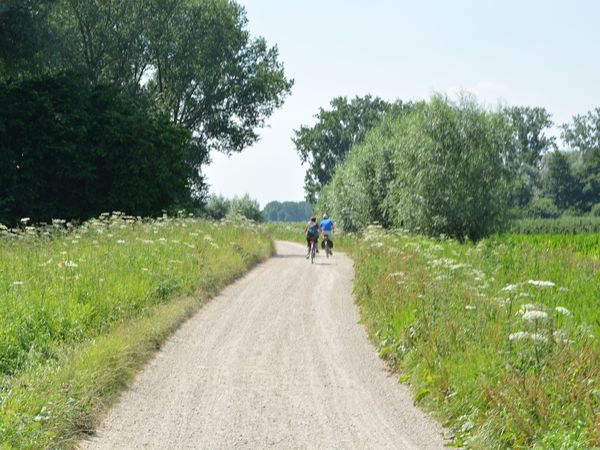 4 Tage im schönen Naturgebiet Betuwe in Asperen Frühstück