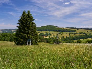 Raus in die Natur in der Mitte Deutschlands