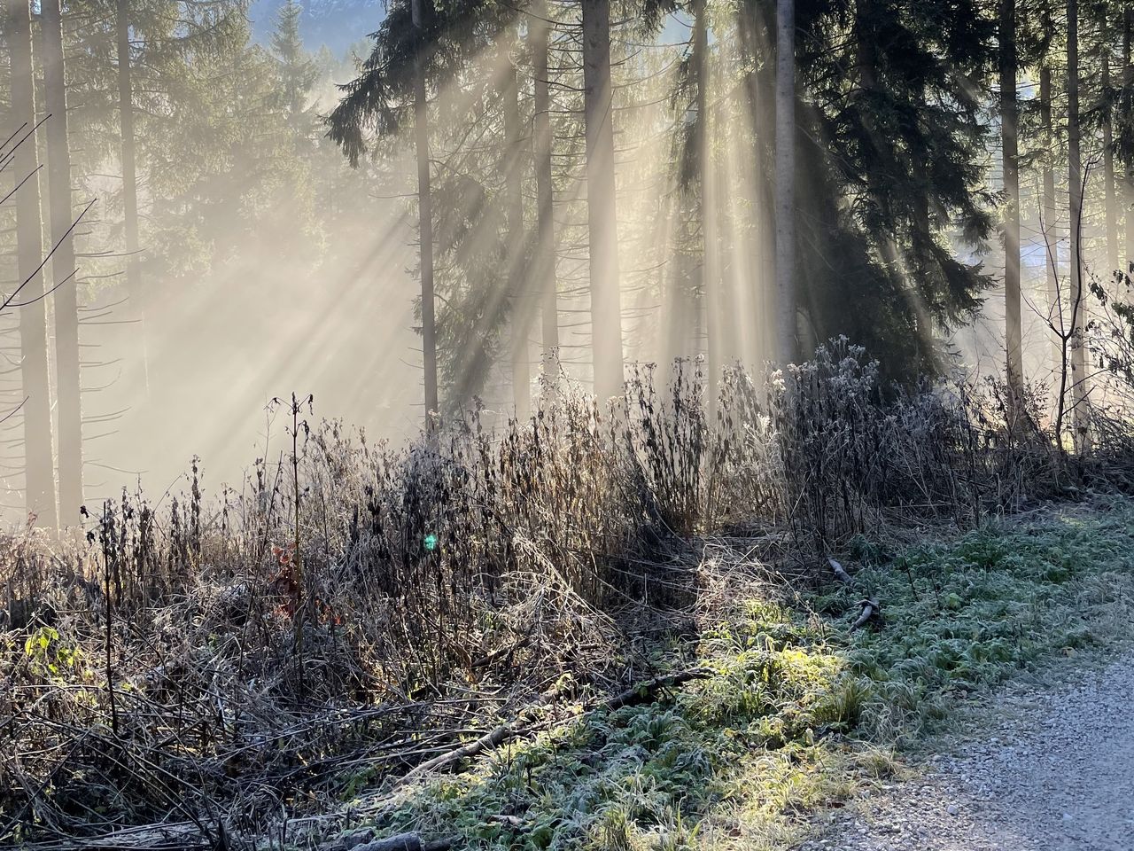 4 Tage / 3 Nächte Aktiv Urlaub im Allgäu