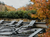 Hallo Harz! 2 Tage Ettershaus pur...