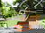 Typisch Pfalz-Picknick m. Weck, Worscht & Woi HP|6Tg.