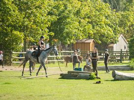 3 Tage Auszeit in Hirschburg: Nahe der Ostsee und Pferden