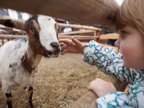 Häfners Familienzeit für kleines Geld – 7 Tage in Bad Schönborn, Baden-Württemberg inkl. Frühstück