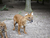 Zoo Schwerin mit Tageseintritt und Übernachtung