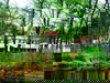 3 Tage Waldhotel in Brabant – Ruhe & Natur erleben
