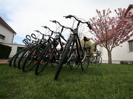 4 Tage im Lifestyle Hotel - Aktiv & Entspannt: Radfahren & Wellness am Neusiedler See