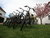 4 Tage im Lifestyle Hotel - Aktiv & Entspannt: Radfahren & Wellness am Neusiedler See