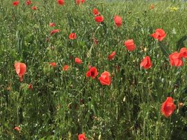 2 Tage im Vital Hotel An Der Therme in Bad Windsheim