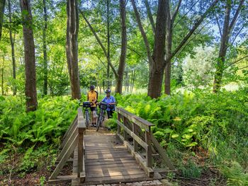 3 Tage Wellness mit Tagesaufenthalt Spreewald-Therme