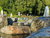 Wunderschönes Erzgebirge - 2 Tage in Aue-Bad Schlema